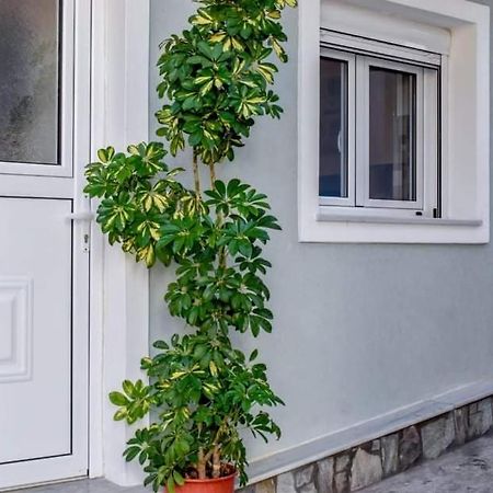 Klaidis House Διαμέρισμα Σκιάθος Πόλη Εξωτερικό φωτογραφία